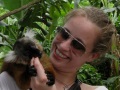 Lemure con turista
